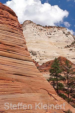 zion np 042